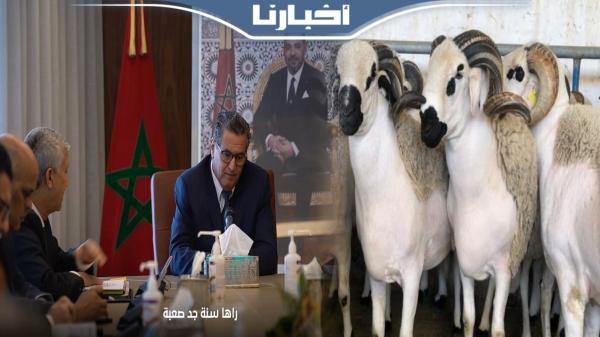 كواليس اجتماع رئيس الحكومة مع مهنيي اللحوم الحمراء استعداداً لعيد الاضحى